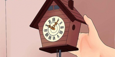 Impostazione di un orologio a cucù