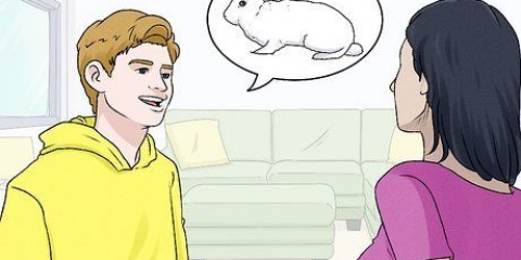 Tenere un coniglio in un appartamento