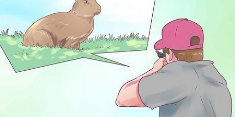 Preparare un coniglio per la cottura