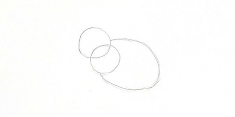 Disegnare un coniglio
