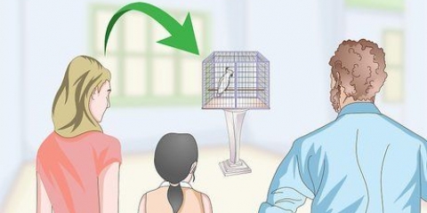 Scegliere una gabbia per un cacatua