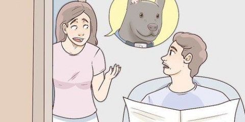 Alla ricerca di un cane smarrito