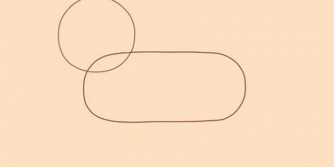 Disegnare un leone