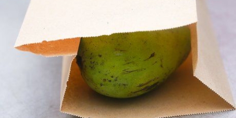 Fai maturare un mango