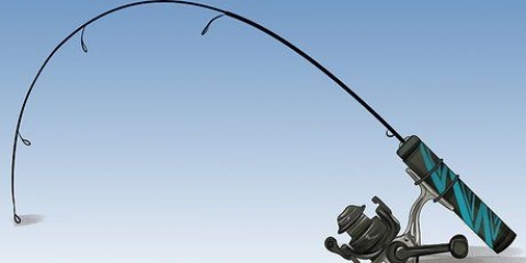 Catturare un pesce gatto