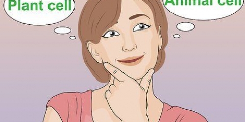 Crea un modello di una cella