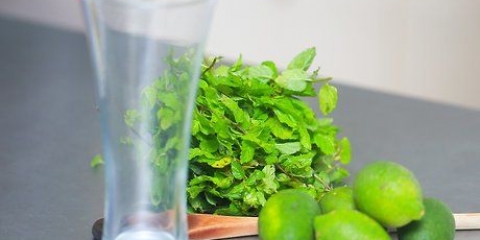 Fare un mojito