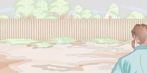 Come drenare un giardino umido