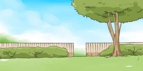 Costruisci una piscina naturale
