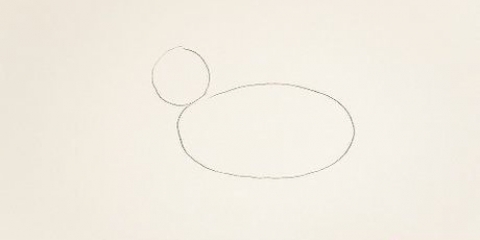 Disegnare un elefante