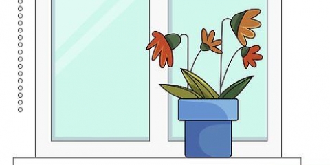 Salvataggio di una pianta troppo fertilizzata