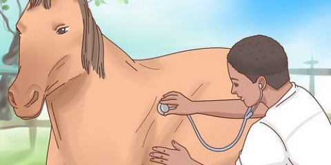 Fai arrivare un cavallo