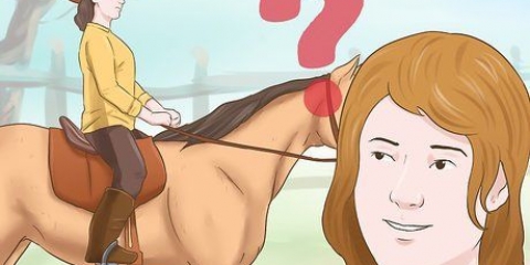 Addestrare un cavallo