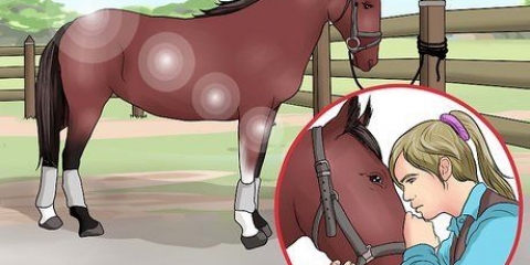 Grattare lo zoccolo di un cavallo