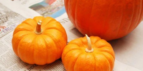 Dipingere una zucca