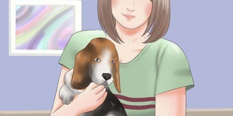 Scegliere un cucciolo da una cucciolata
