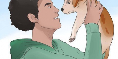 Insegnare a un cucciolo il suo nome