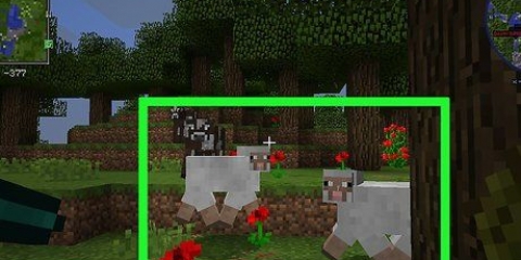 Come fare una pecora arcobaleno in minecraft