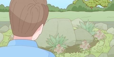 Creazione di un giardino roccioso con prevenzione delle erbe infestanti