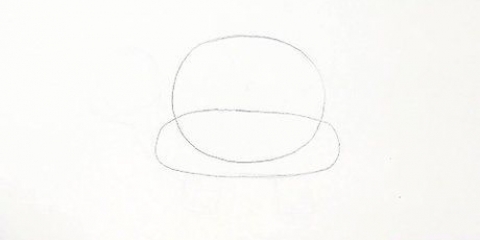 Disegnare una tartaruga