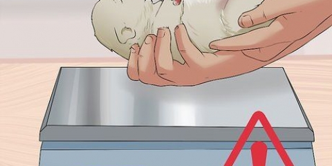 Salvare un cucciolo appena nato morente