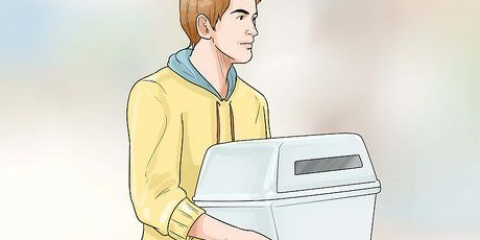 Addestramento domestico di un bassotto