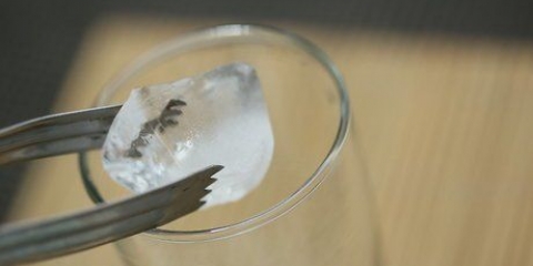 Fare un'alba di tequila