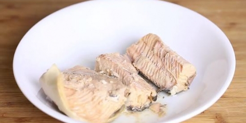 Fare un hamburger di salmone