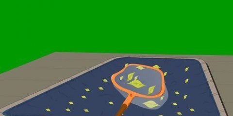 Aprire una piscina