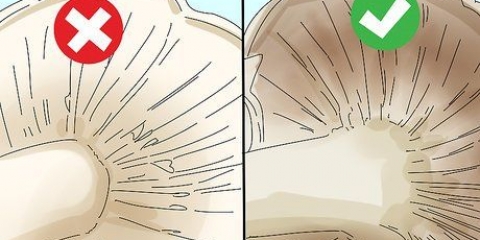 Identificazione dei funghi commestibili
