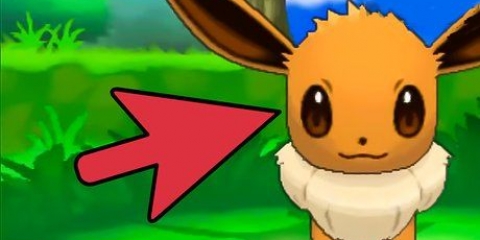 Eevee eevee in espeon o umbreon