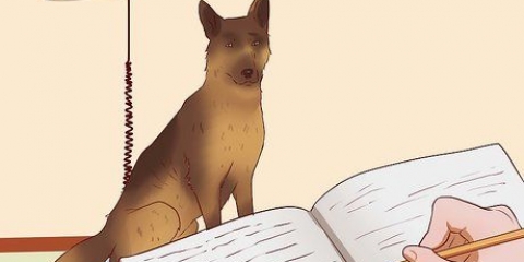 Assicurati che il tuo cane aumenti di peso in modo sano