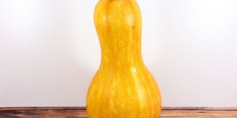 Conservare la zucca in bottiglia