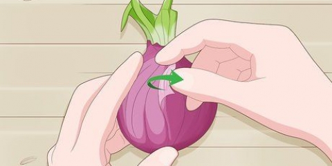 Pianta le cipolle germogliate