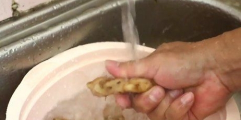 Spremere il succo di zenzero