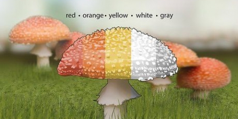 Identificazione dei funghi velenosi