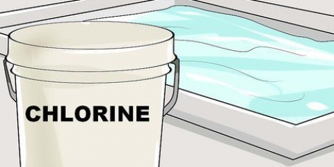 Rimuovere e prevenire le alghe verdi da una piscina