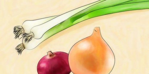 Cipolle verdi in crescita
