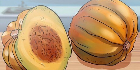 Conserve di verdure della famiglia dei cetrioli
