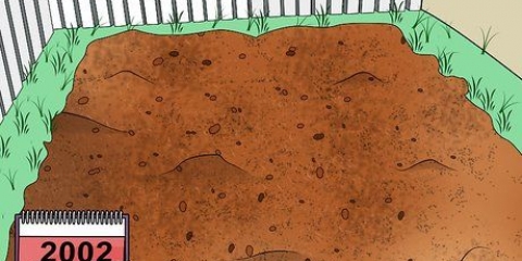 Preparare il terreno per trasformarlo in un orto