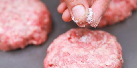 Condimento per hamburger