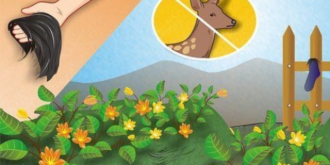 Tieni i cervi fuori dal tuo giardino