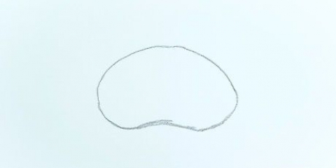 Disegnare il cervello