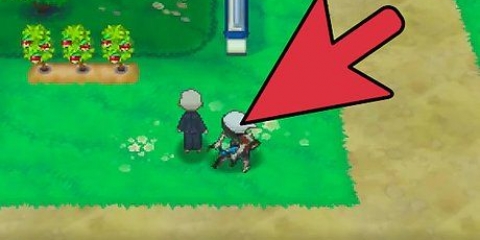 Allena l'ev del tuo pokémon