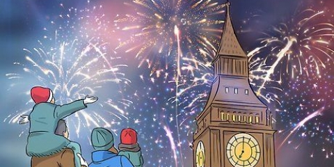Festeggiando il nuovo anno