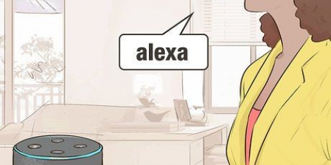 Regola il volume di alexa