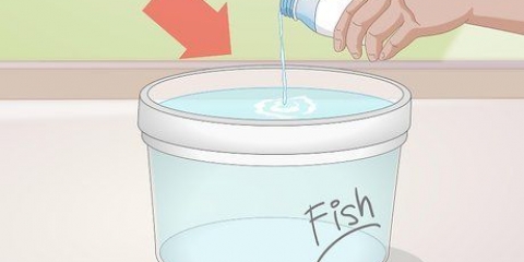 Cambiare l'acqua in un acquario d'acqua dolce