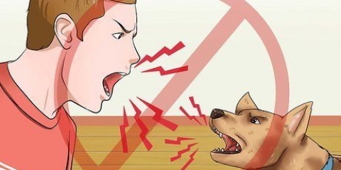 Addestrare i cani a non abbaiare