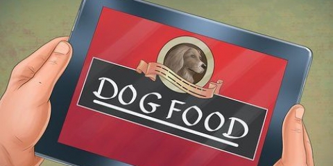 Preparazione del cibo per cani