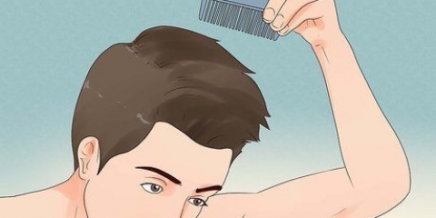 Rimuovere i pidocchi con l'olio dell'albero del tè